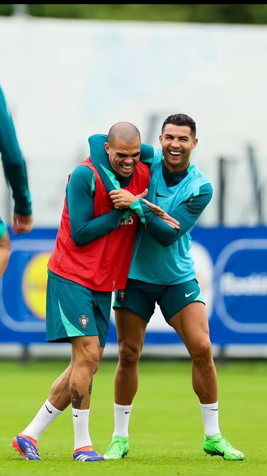 九游VIP-葡萄牙队完胜法国队，张继科惊艳四座