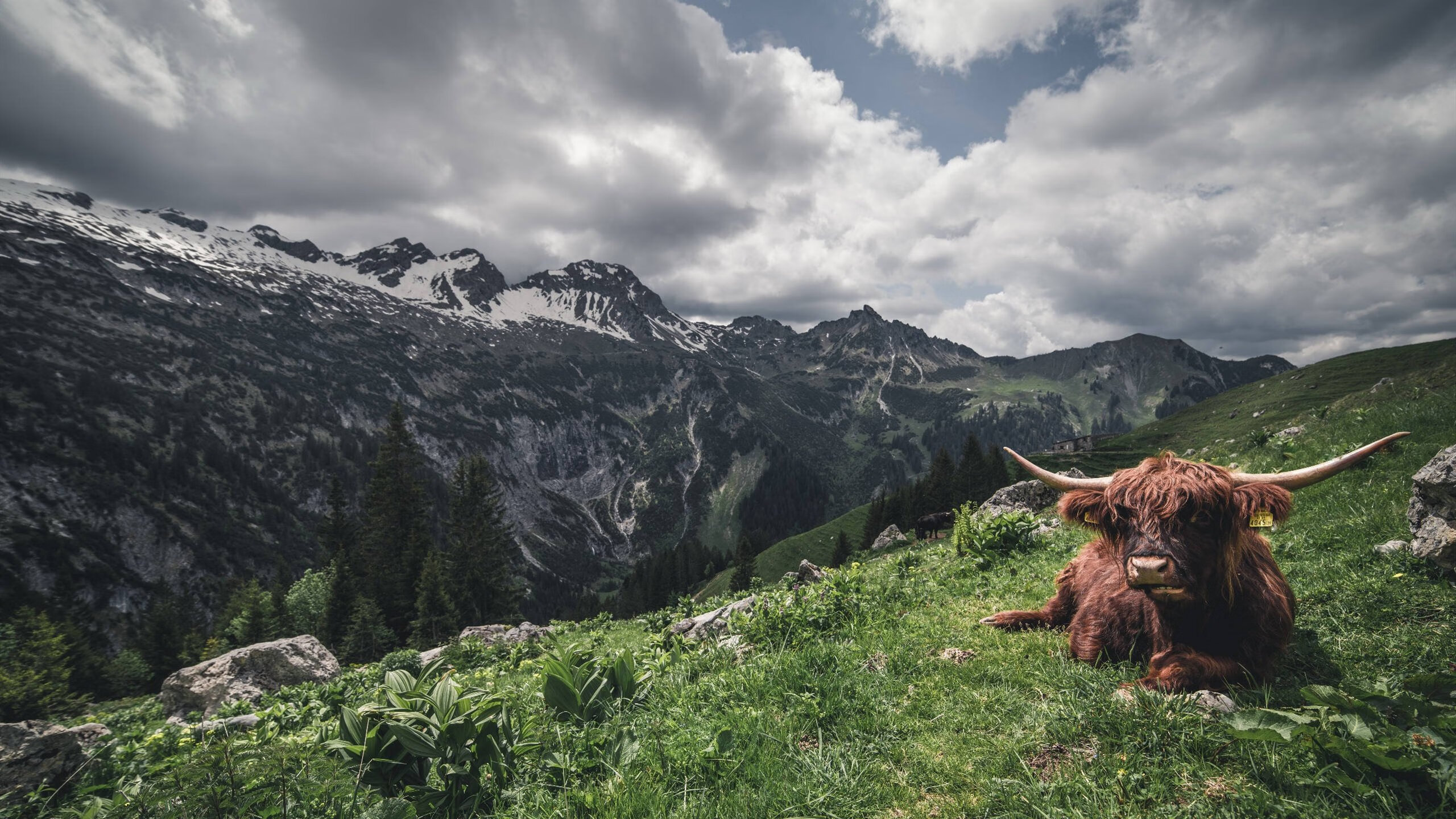 九游娱乐网站-华丽刺客！欧文魔术火力全开接管季后赛