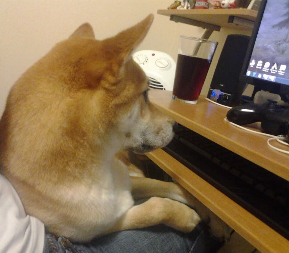 东方的坚韧与西部的狂舞，哈登证明之战与新疆加时鏖战的双重奏