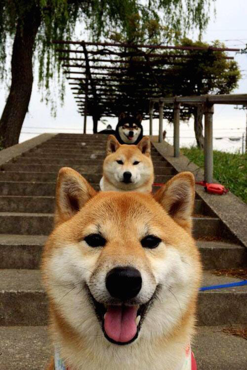 拉梅洛空砍40+三双,孙铭徽压哨三分助广厦险胜76人