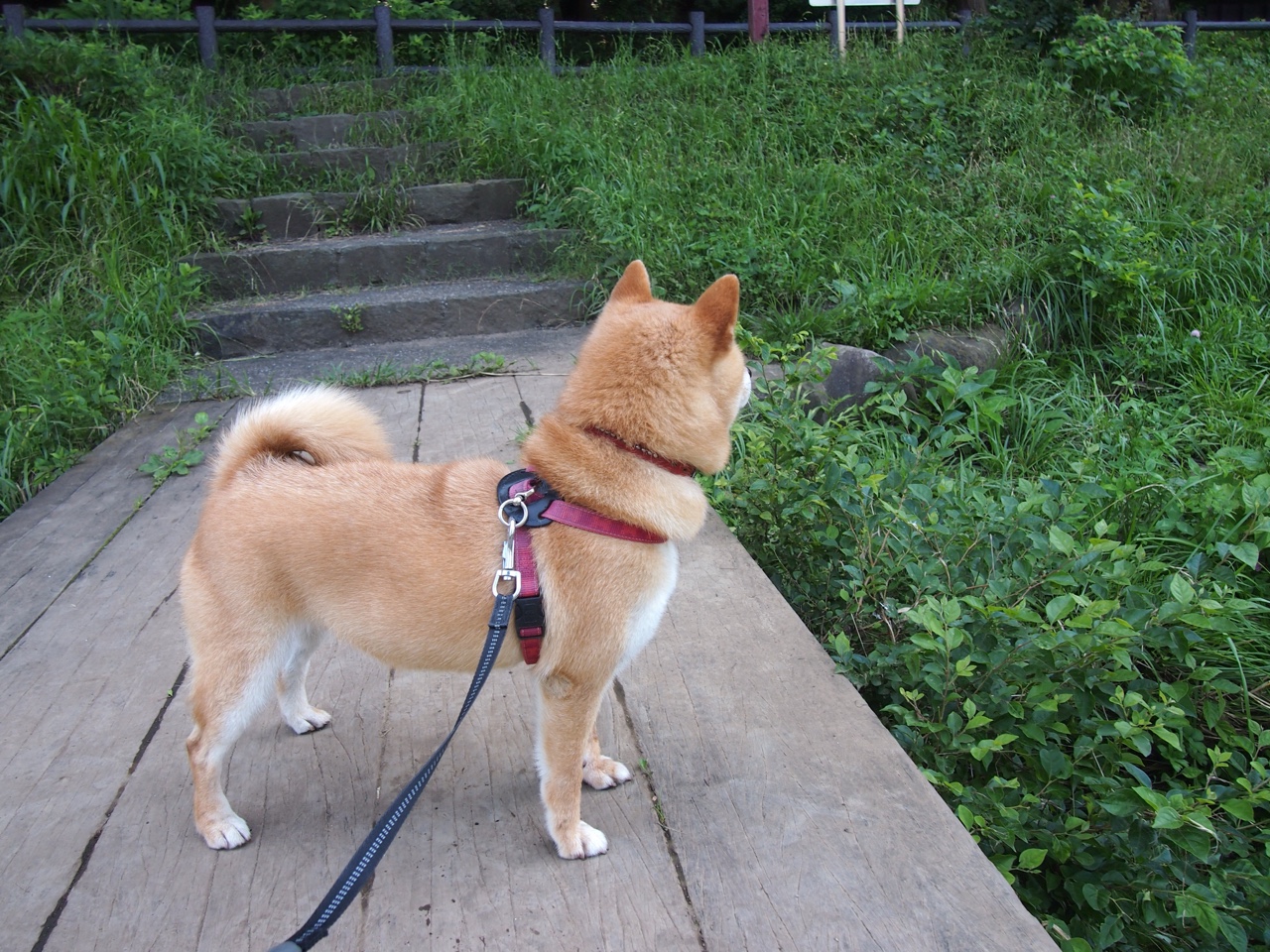 九游游戏-托尼一击致命，阿森纳全面压制彰显美丽足球战术进化