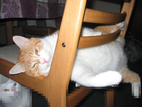 封锁与接管,爵士铁壁如何映照拉文的篮球美学?