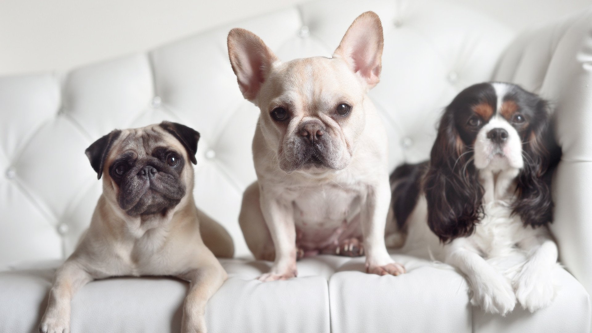 冰冻的熔岩,哥斯达黎加的战术铁幕与拉什福德的孤星时刻—足球世界的两极启示